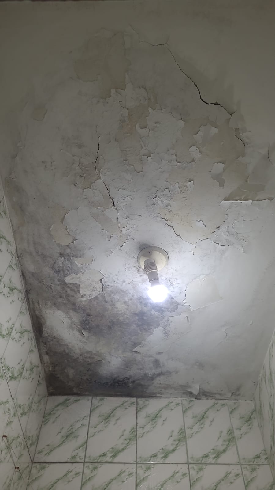 Teto do banheiro descascando, com mofo espalhado pelo canto.
