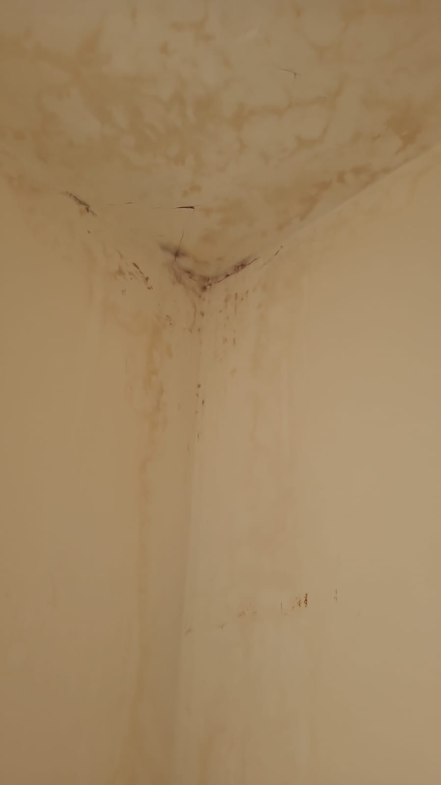 Mancha de infiltração descendo pelo canto do teto do quarto.